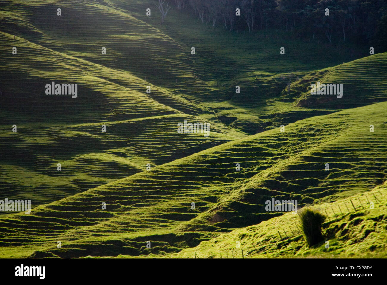 Green lush hills hi-res stock photography and images - Alamy