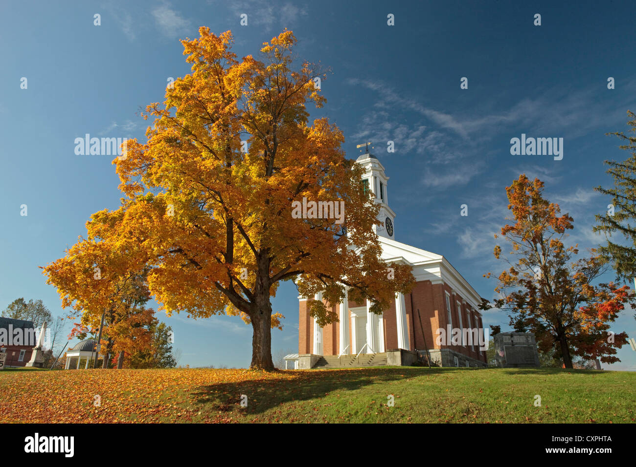 Fall autumn vermont maple tree hi-res stock photography and images - Alamy