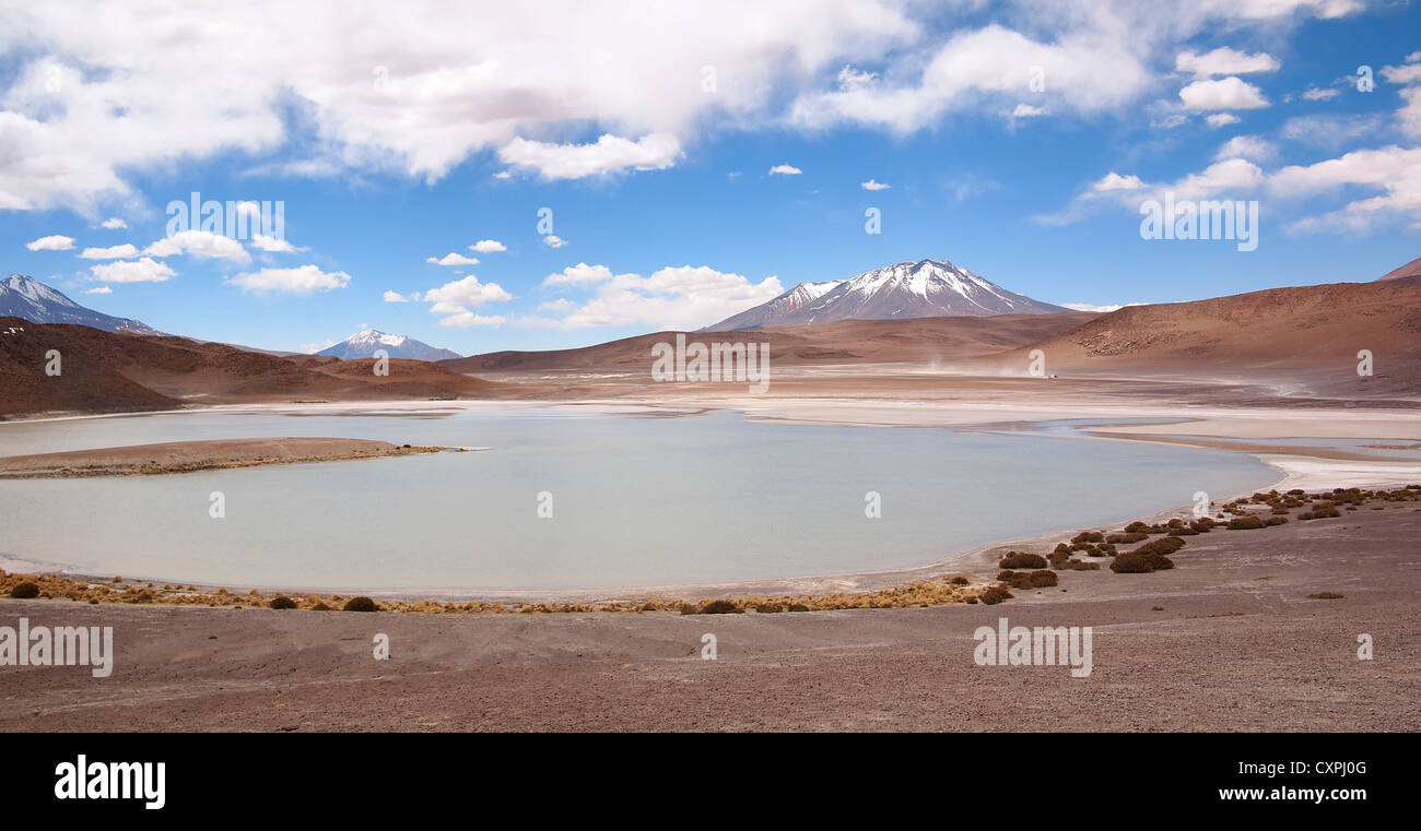 A laguna in Bolivia at the altiplano near Uyuni with a snowcapped volcano in the background. Stock Photo