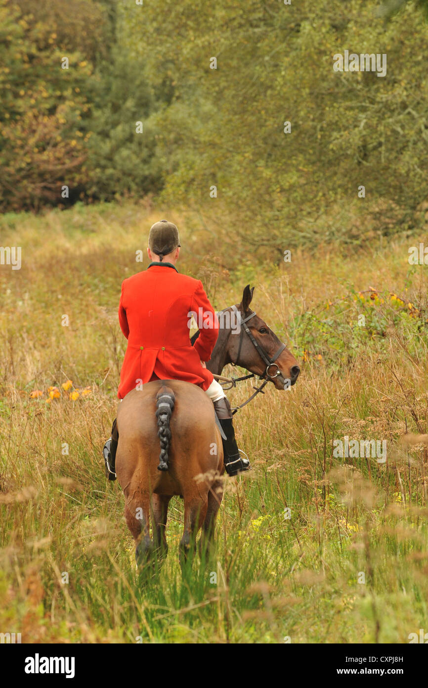 huntsman on horse Stock Photo