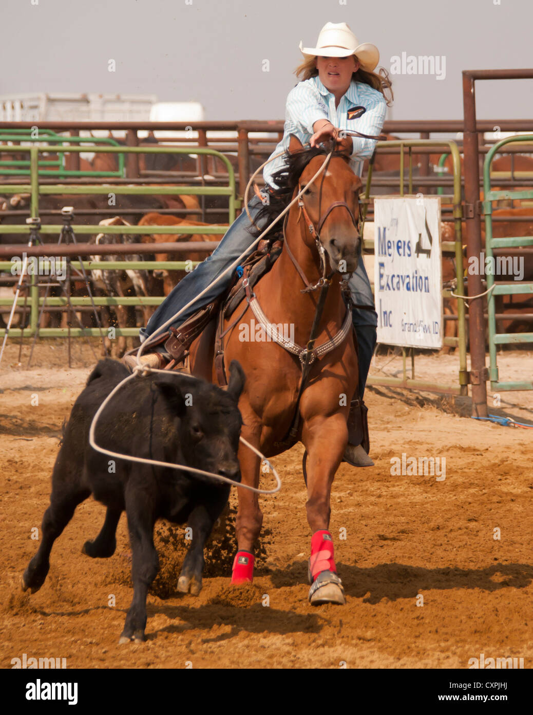 Cowgirl on her saddle horse calf roping at the Rodeo, Bruneau, Idaho, USA Stock Photo