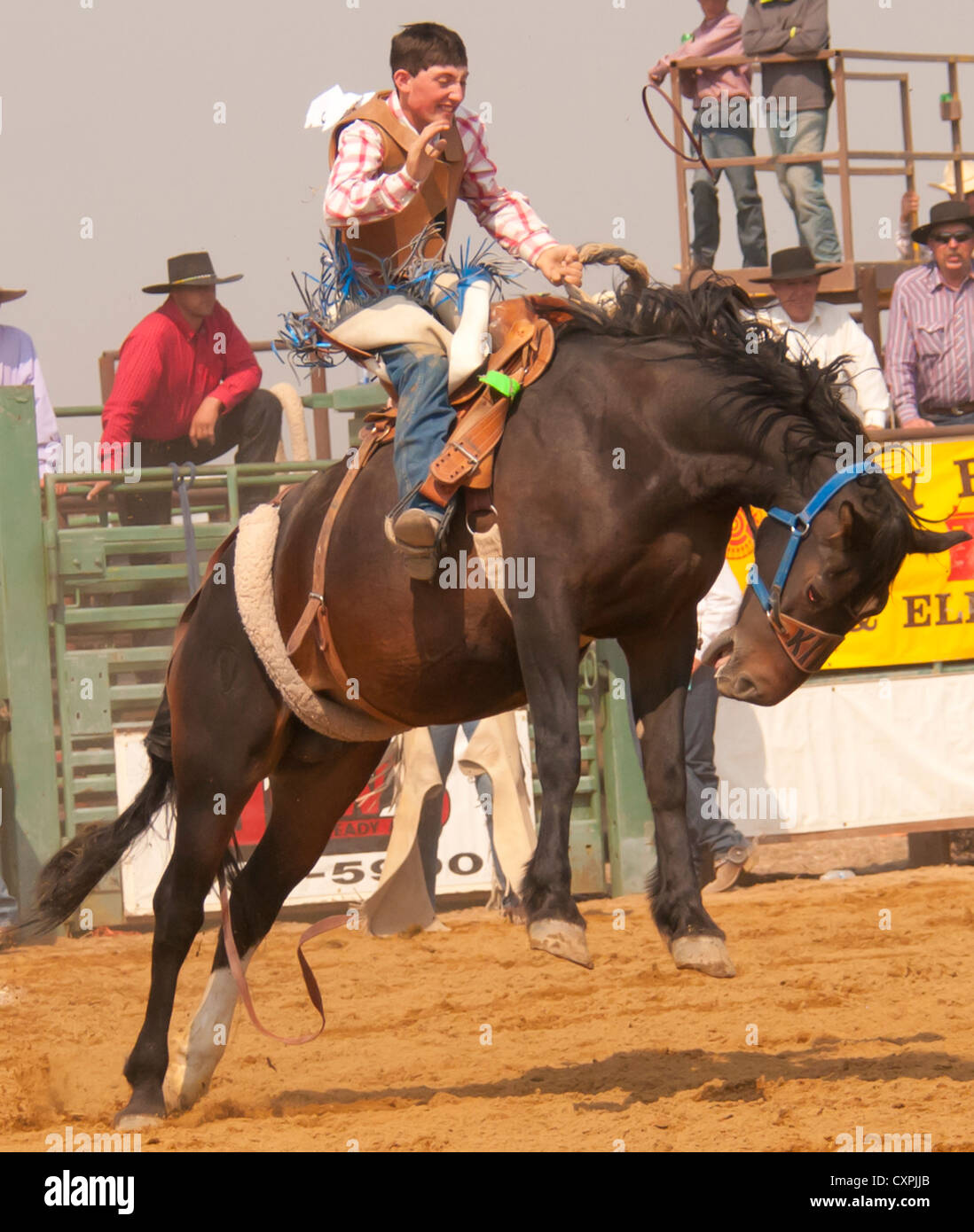 Cowboy bambini vestiti in costumi occidentali al Rodeo, Bruneau, Idaho,  Stati Uniti d'America Foto stock - Alamy