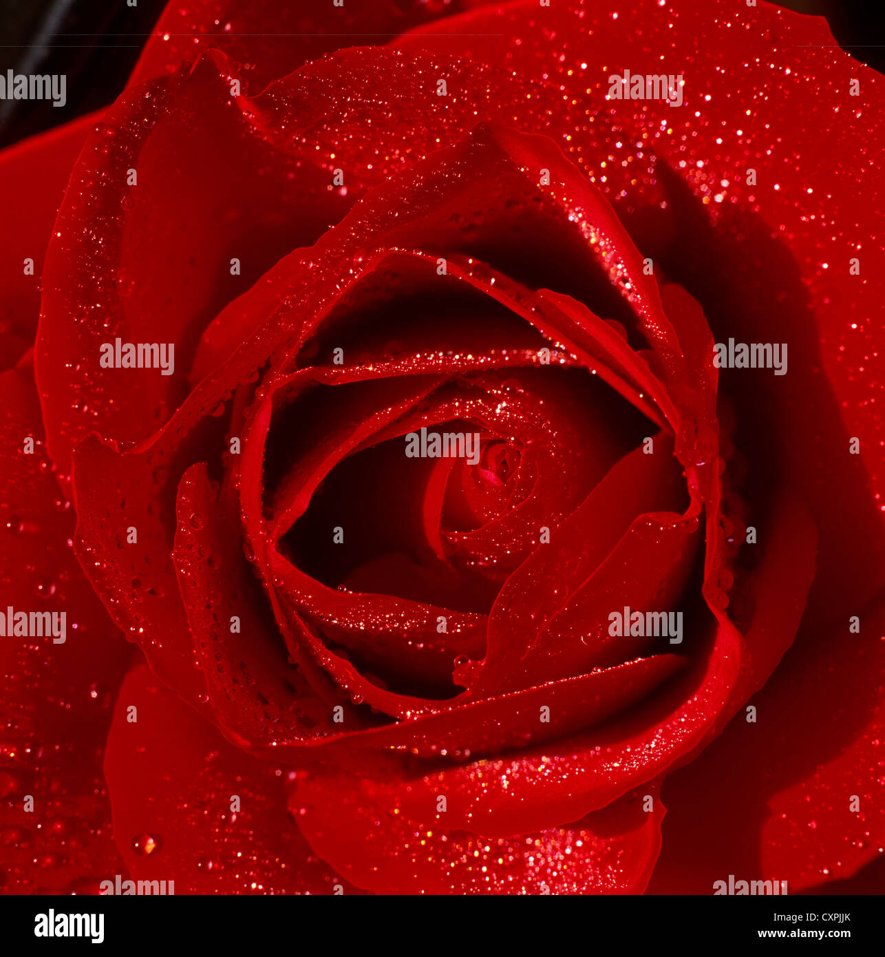 Beautiful close up shot water hi-res stock photography and images - Alamy