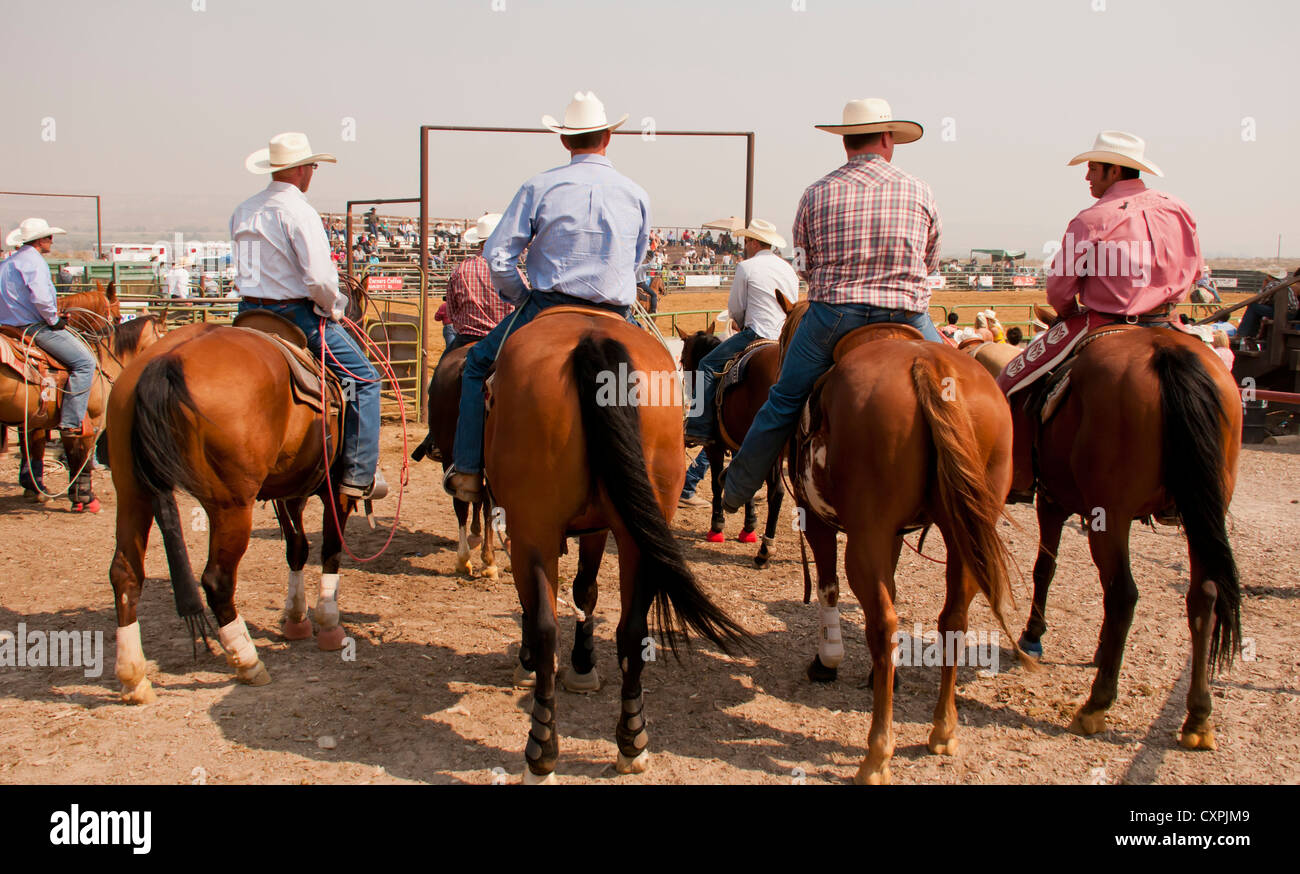 Cowboys on horses hires stock photography and images Alamy