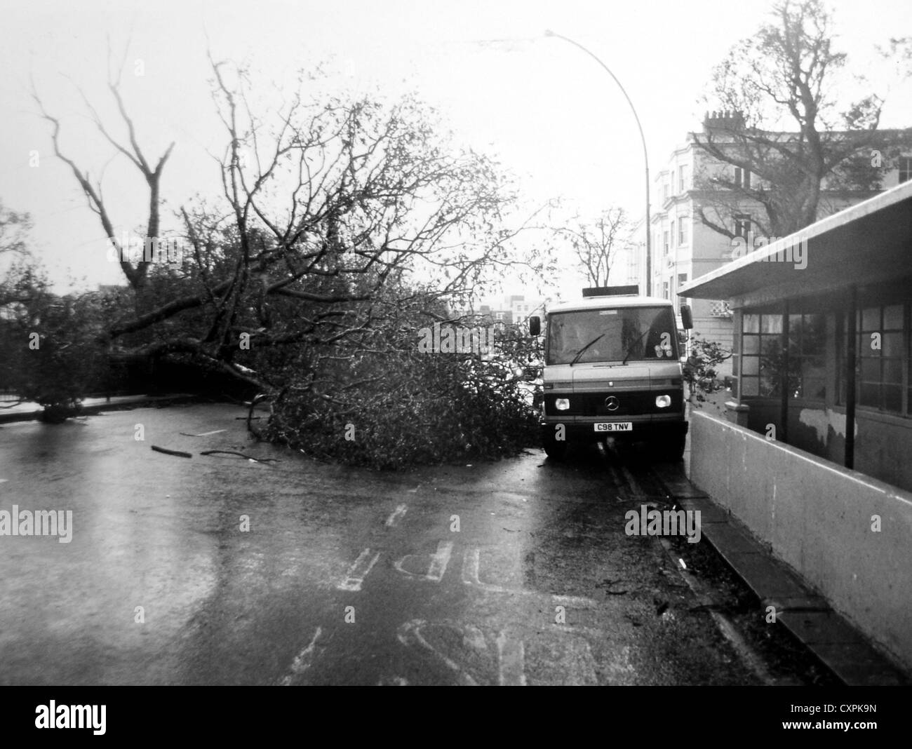 Trees down in The Old Steine in Brighton after the hurricane or Great Storm of 1987 Stock Photo
