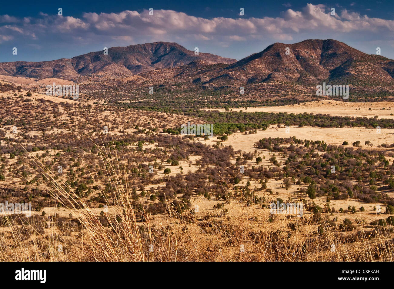 West texas landscape hi-res stock photography and images - Alamy