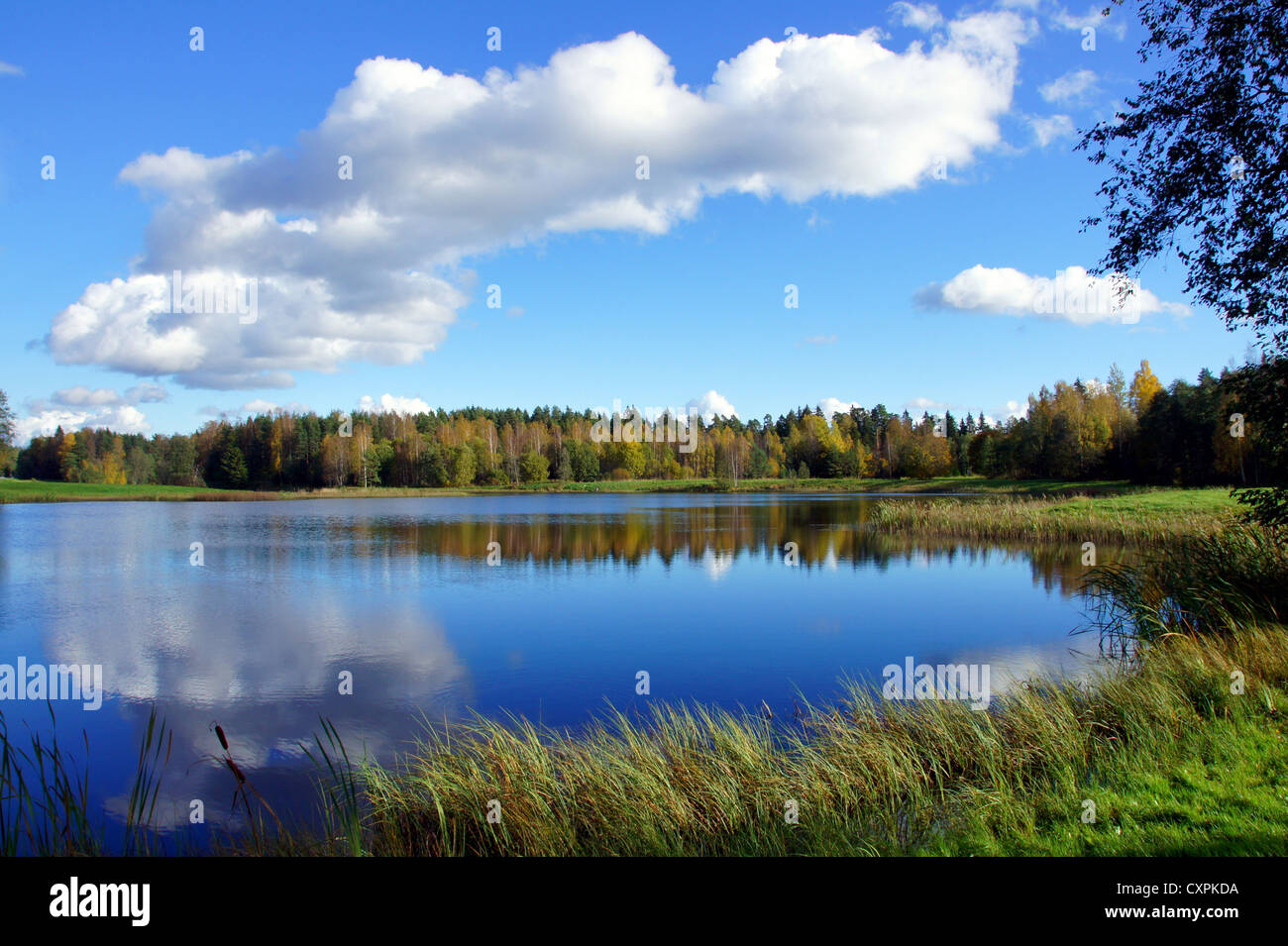 Blue sky reflection on the lake hi-res stock photography and images - Alamy