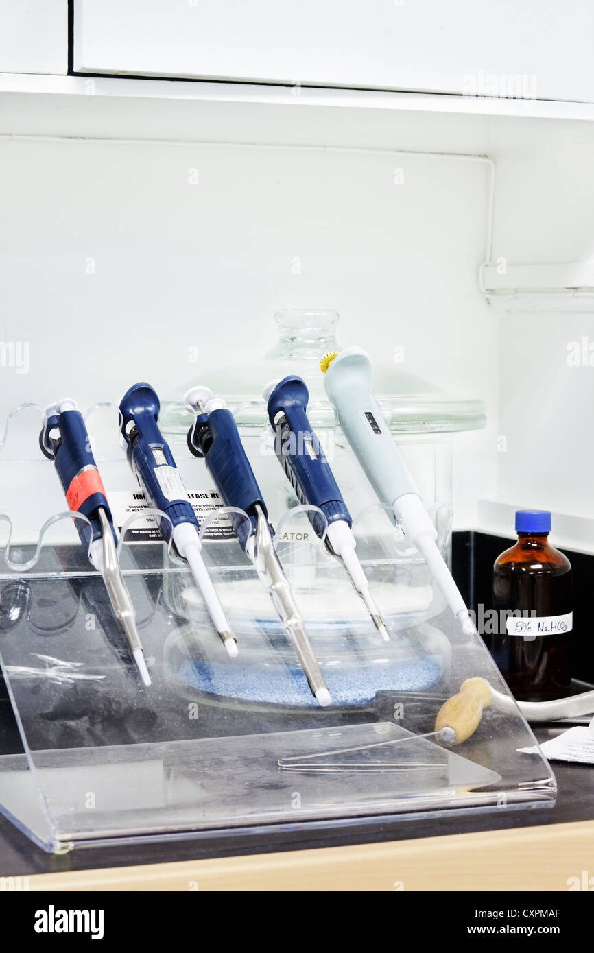 Pipettes In A Rack On A Lab Bench Stock Photo 50900711 Alamy