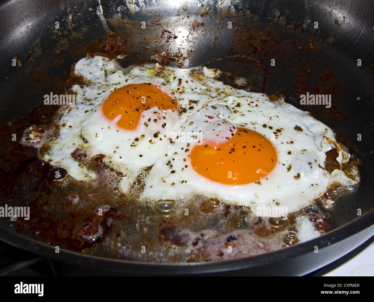 Eggs Sunny Side Up Frying In Bacon Grease Stock Photo Alamy eggs-sunny-side-up-frying-in-bacon-grease-stock-photo-alamy