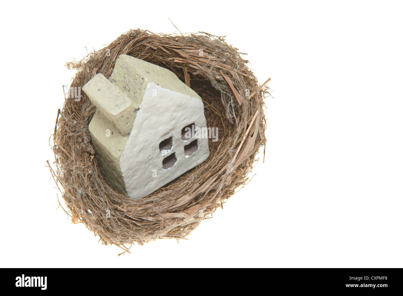 House model in bird nest isolated on white background Stock Photo - Alamy