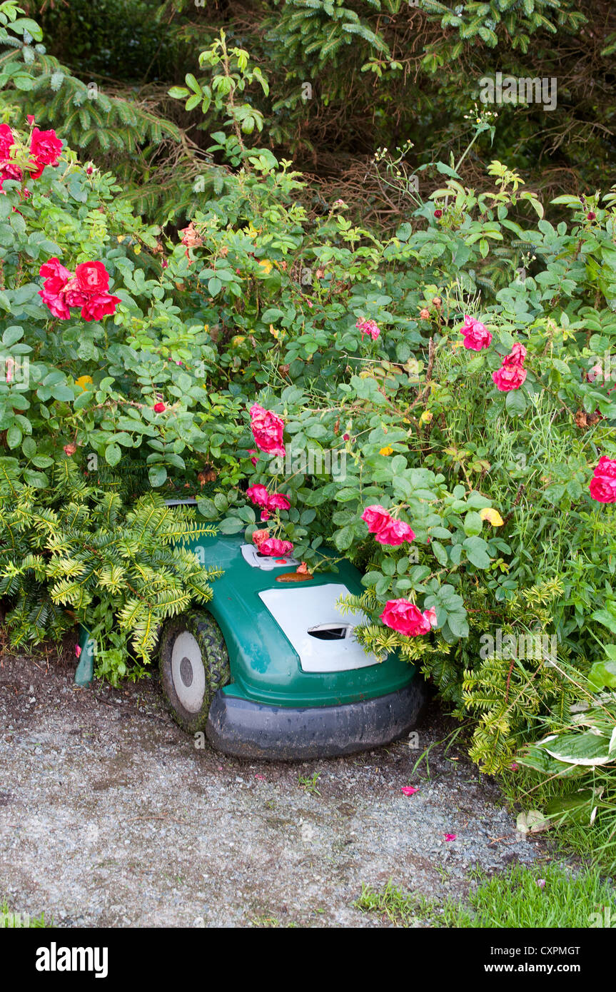 A robotic lawn mower sleeps at the Flor & Fjaere (Flor & Fjære) Gardens in Stavanger, Norway. Stock Photo
