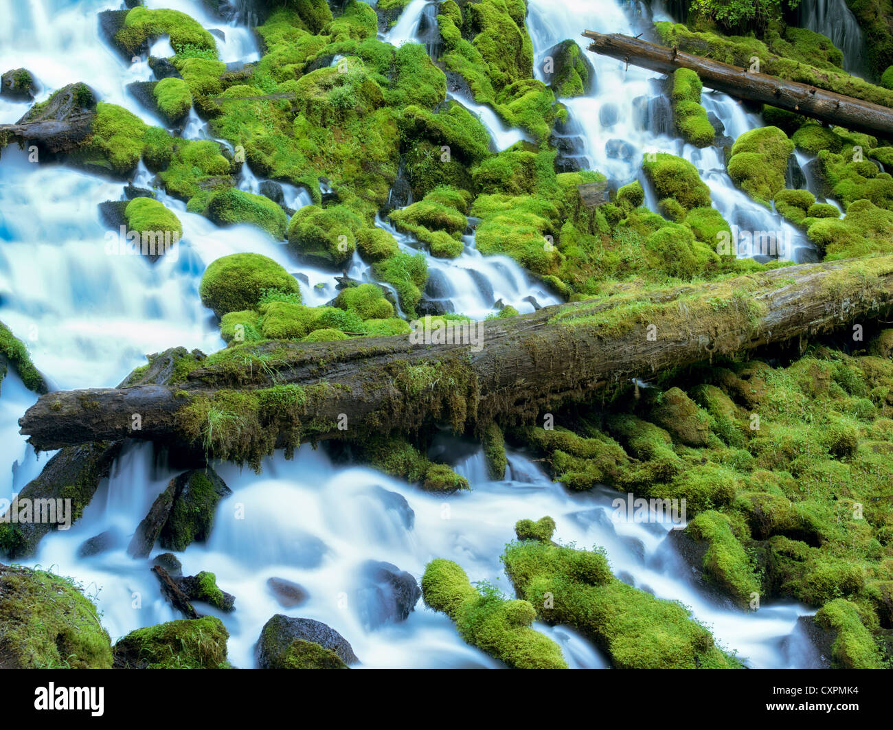 Clearwater falls with moss. Umpqua National Forest, Oregon Stock Photo