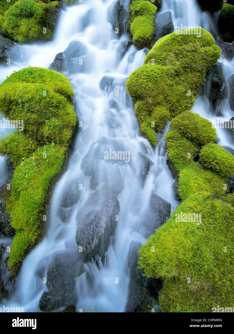 Clearwater falls with moss. Umpqua National Forest, Oregon Stock Photo