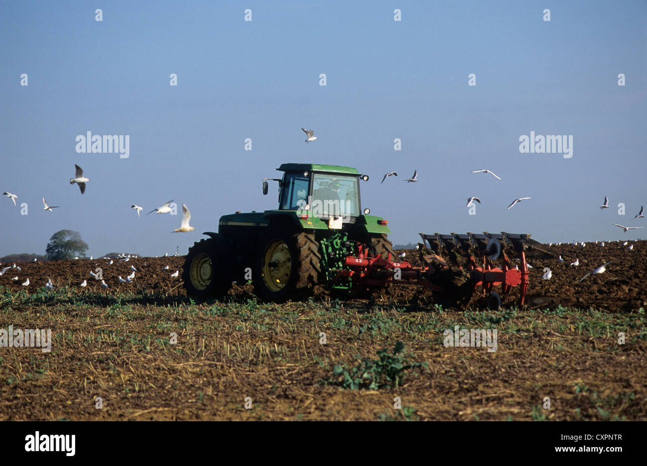 UK, agriculture, farmer's tractor ploughing the field. Stock Photo