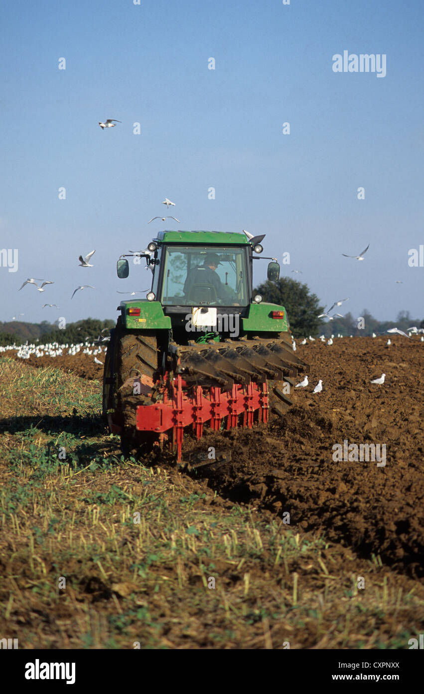 UK, agriculture, farmer's tractor ploughing the field. Stock Photo