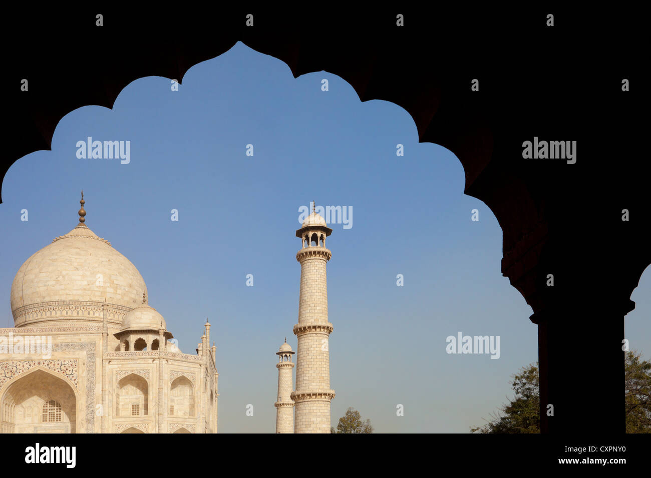 Detail of the Taj Mahal, Agra, India Stock Photo