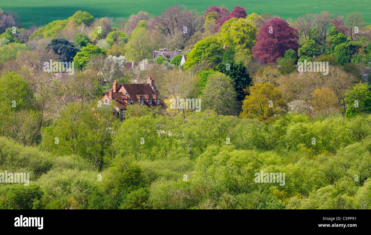 Farm house in the forest, Amesbury, Wiltshire, United Kingdom Stock Photo Alamy
