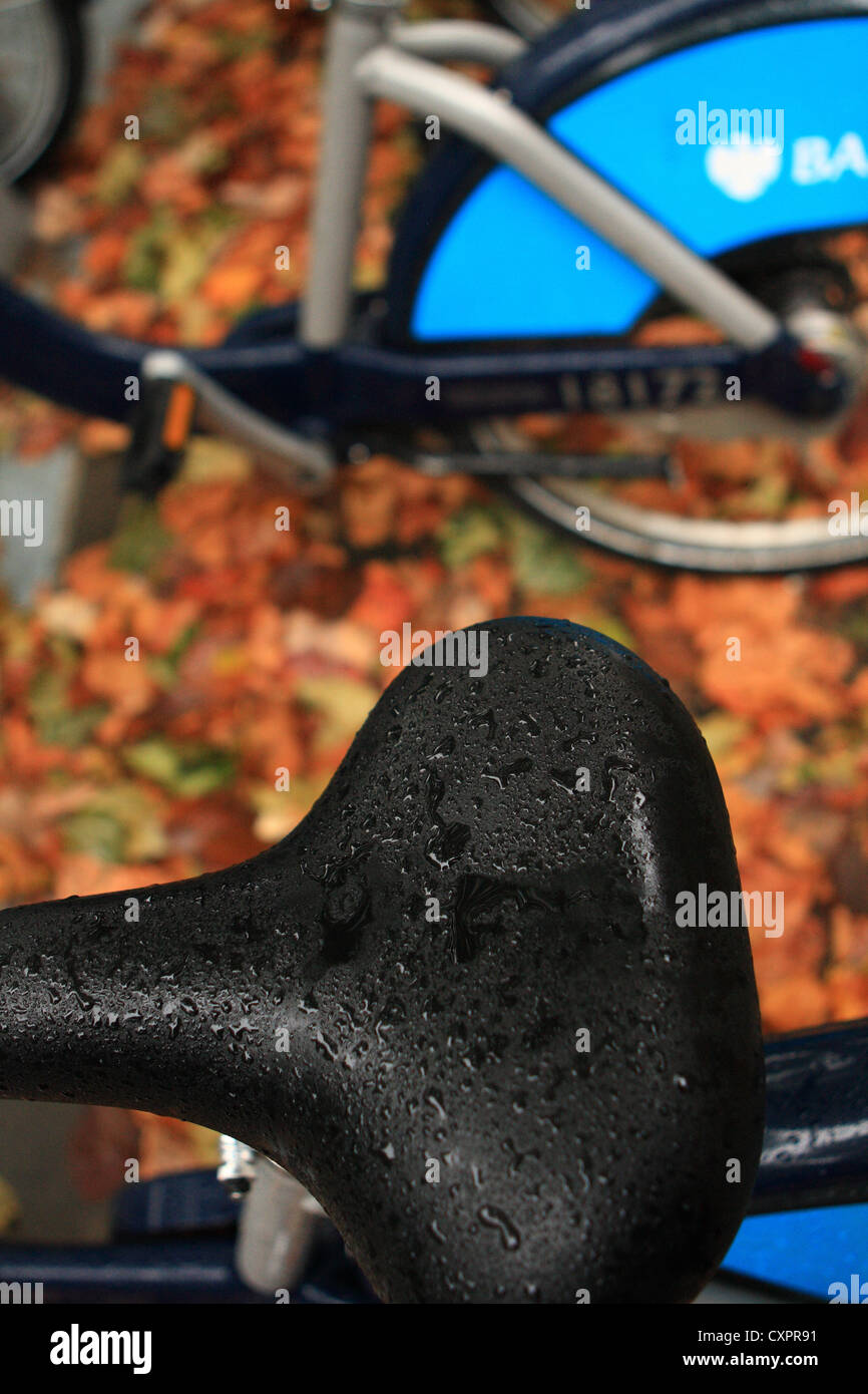 Boris Bikes parked amongst autumn leaves Stock Photo Alamy