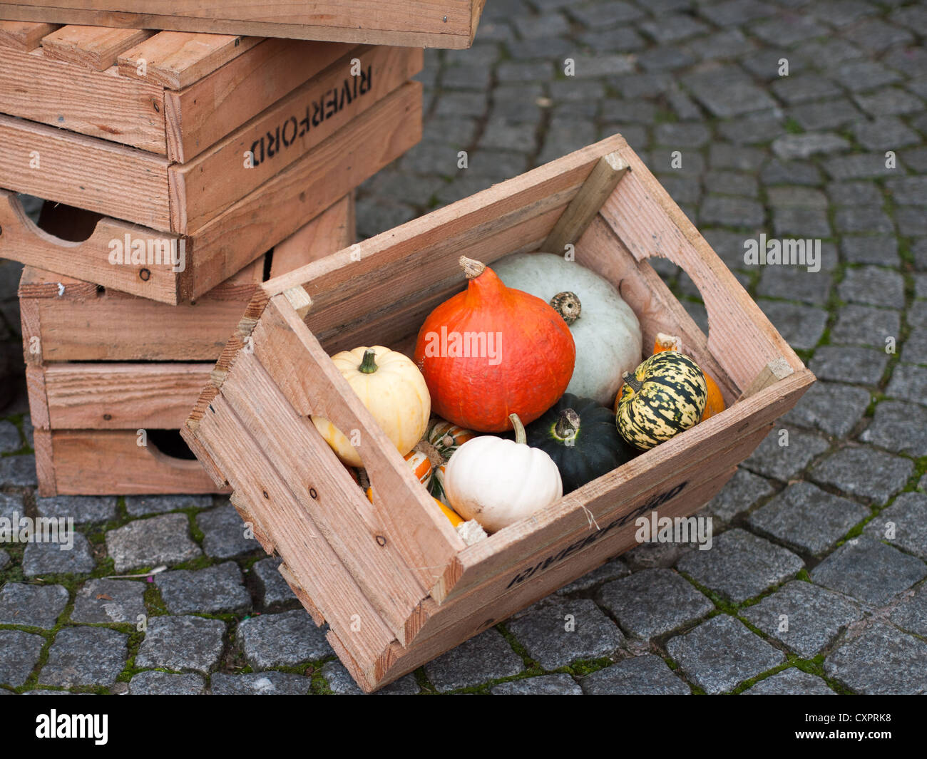 Pumpkins and squashes in wooden box Stock Photo - Alamy