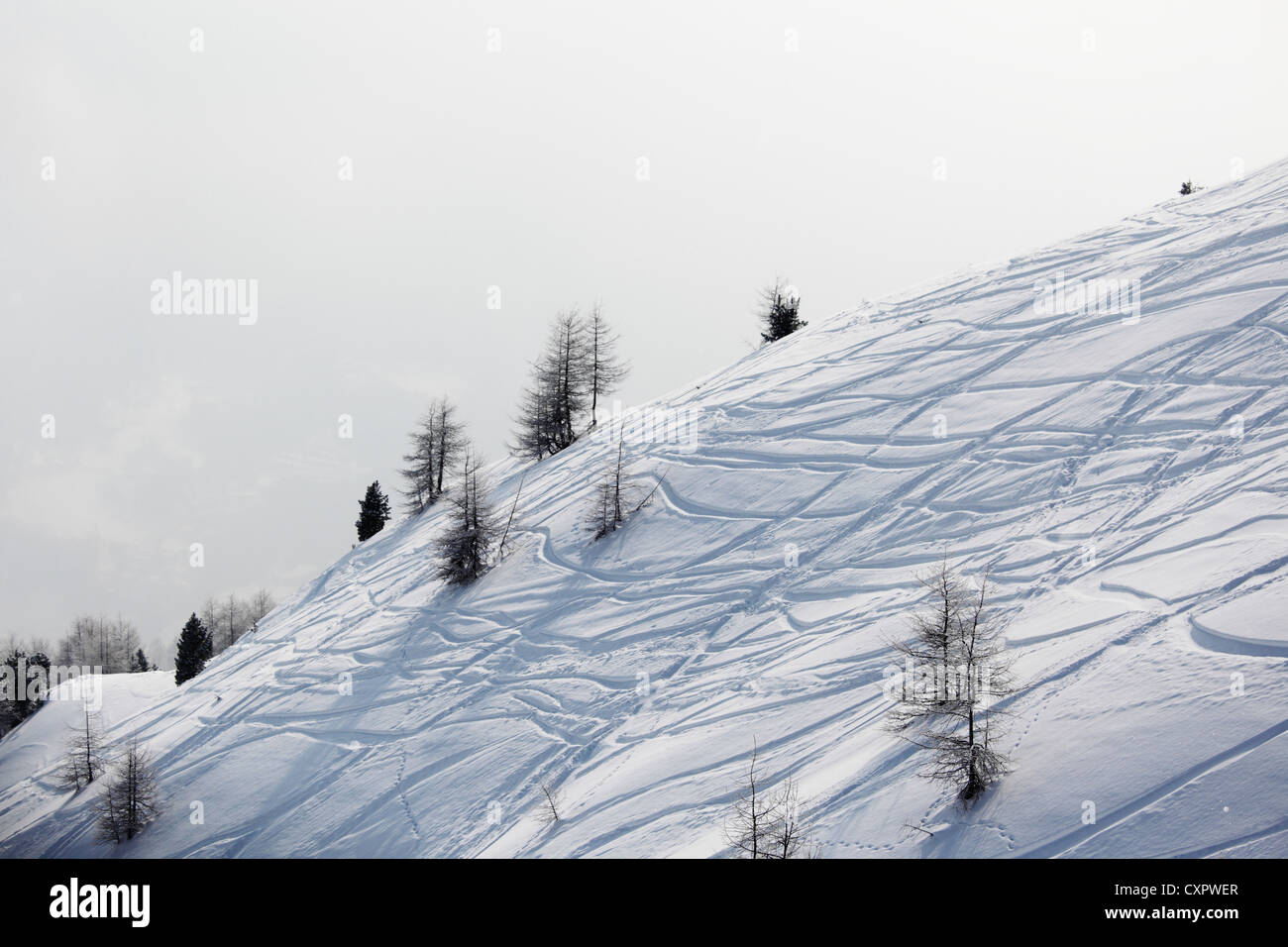ski traces on snow Stock Photo - Alamy