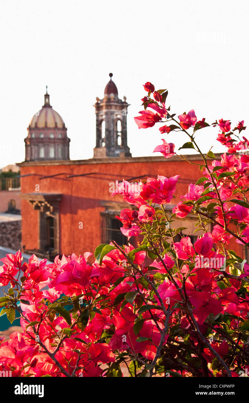 Bouganvillia overlooking San Miguel de Allende's Templo de la Concepcion (Immaculate Conception Church bell tower and dome Stock Photo