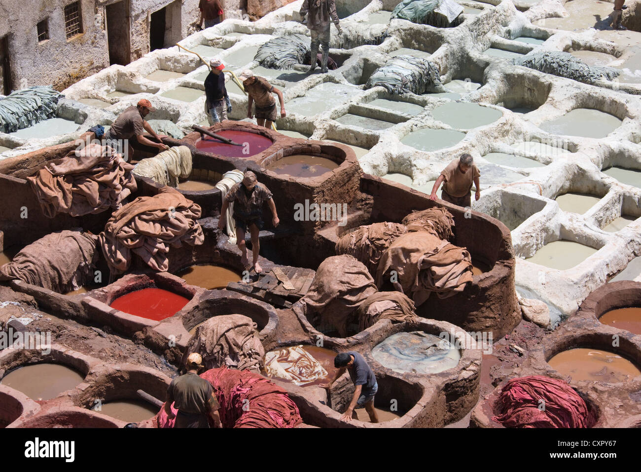 Tannery in the old medina, Fes, Morocco Stock Photo
