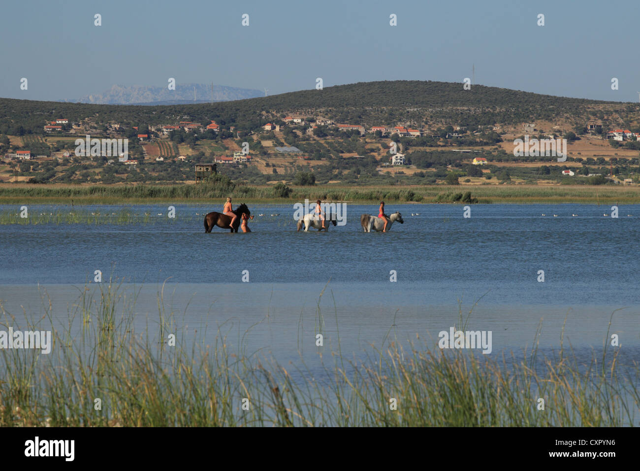 Three children riding horses in the waters of Vransko jezero (Lake of Vrana) near Pakostane, Croatia. Stock Photo