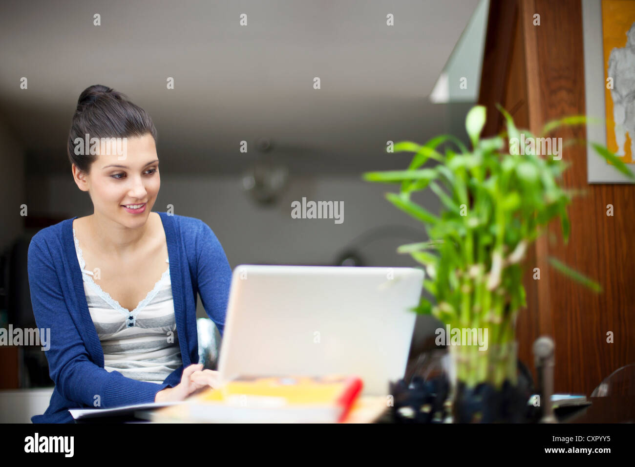 Young woman working from home on laptop Stock Photo - Alamy