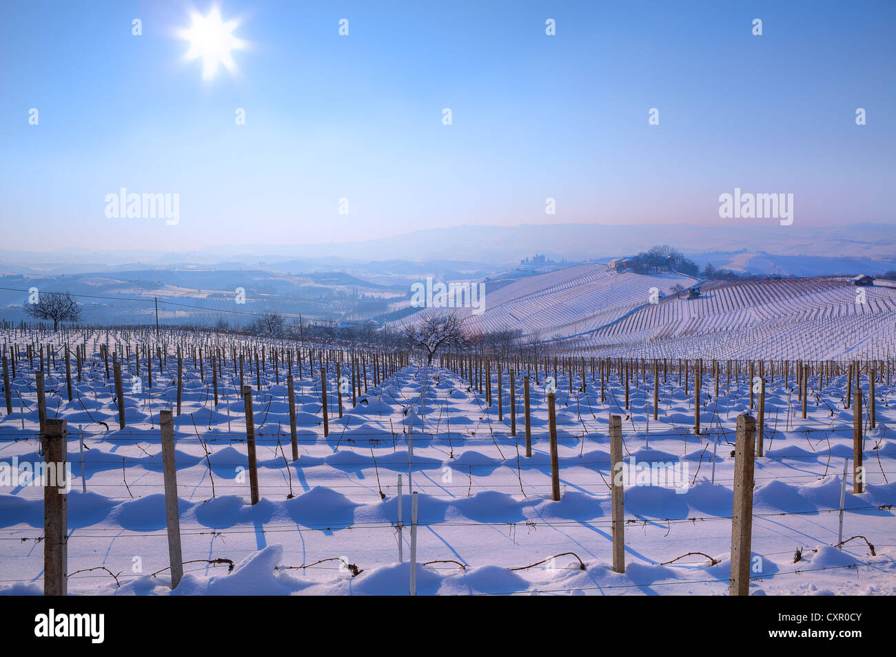 View on vineyards on snowy hills under clear blue sky with shining sun at winter in Piedmont, Northern Italy. Stock Photo