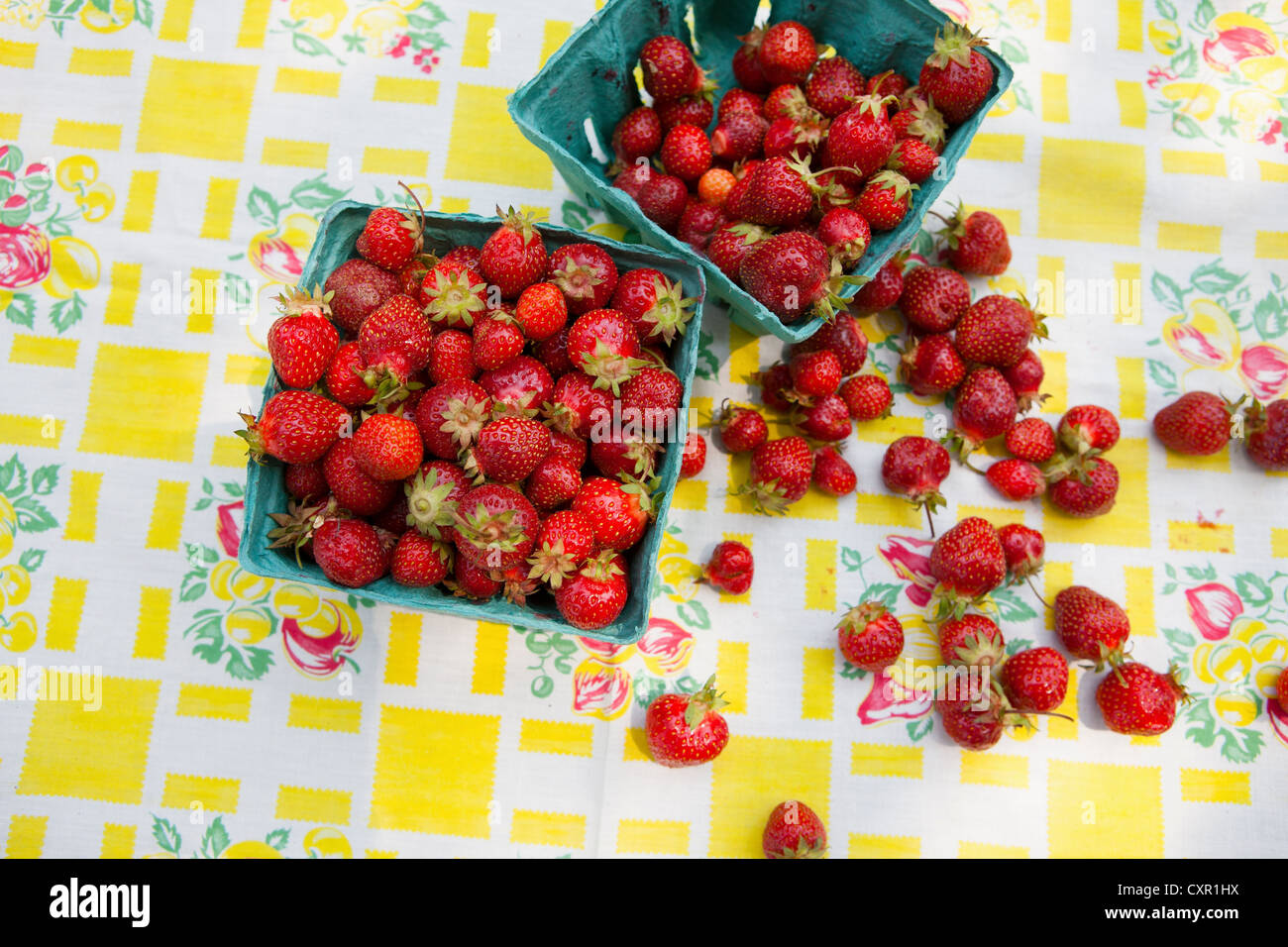 Homegrown Strawberries High Resolution Stock Photography and Images - Alamy