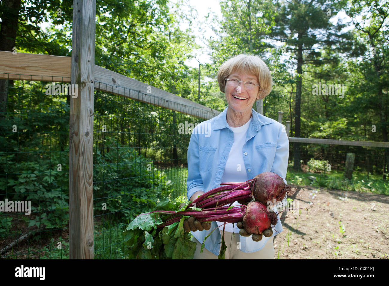 Woman holding beetroot Stock Photo