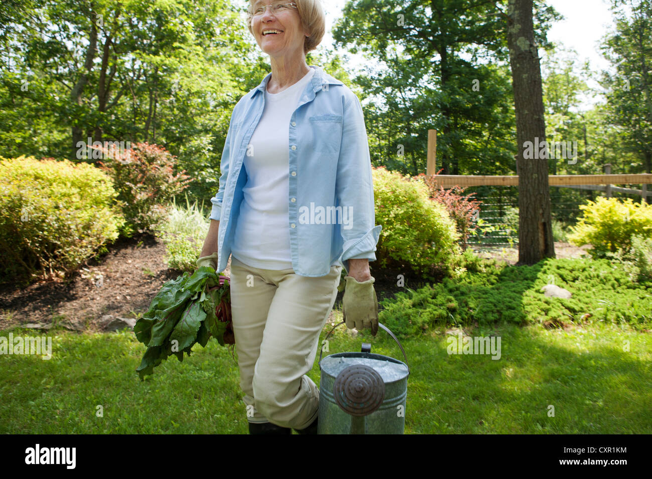 Woman with watering can and beetroot in garden Stock Photo