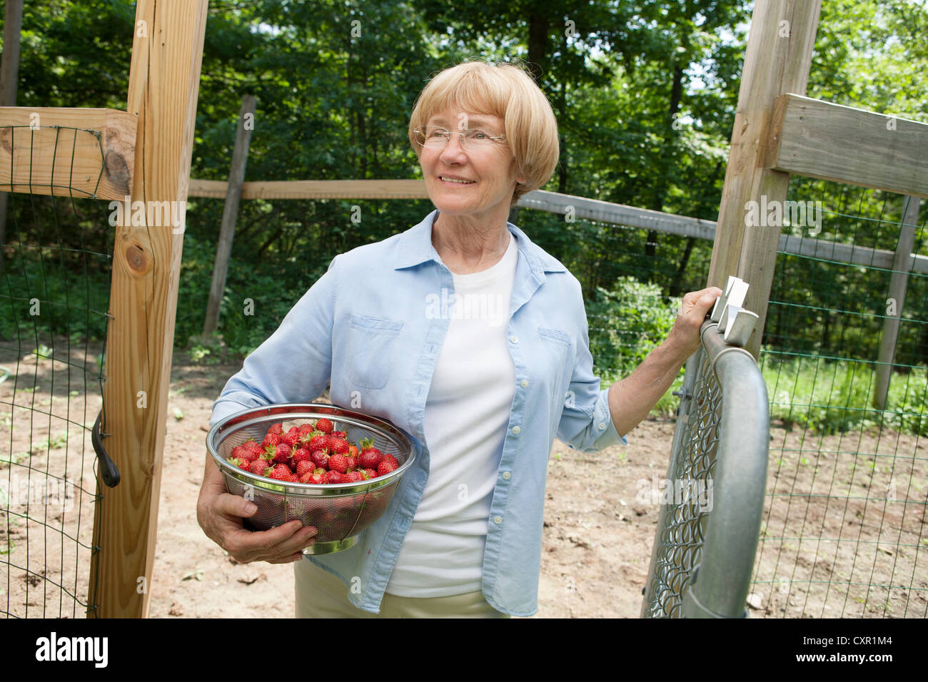 Woman holding colander with strawberries Stock Photo