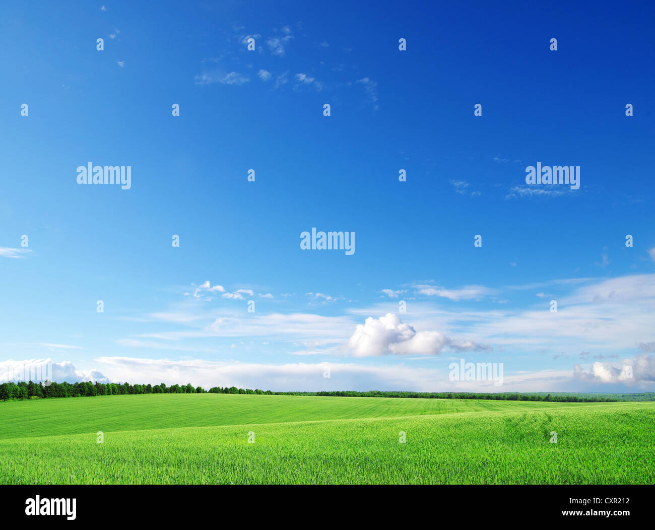 green field and blue sky Stock Photo - Alamy