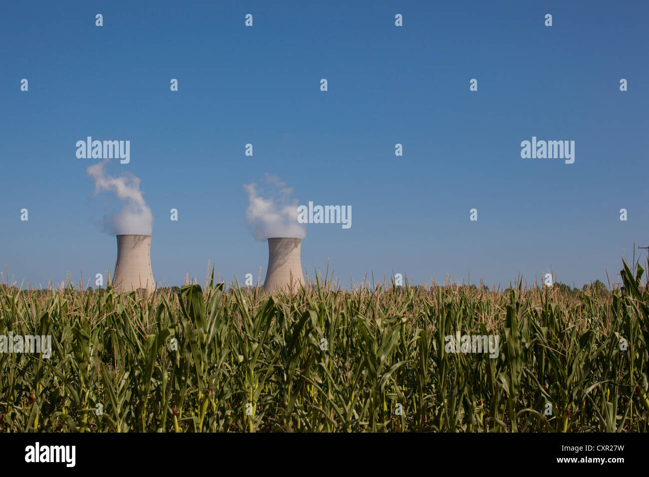 Fermi 2 beyond a corn field, Enrico Fermi Nuclear Generating Station, Monroe, Michigan, USA Stock Photo