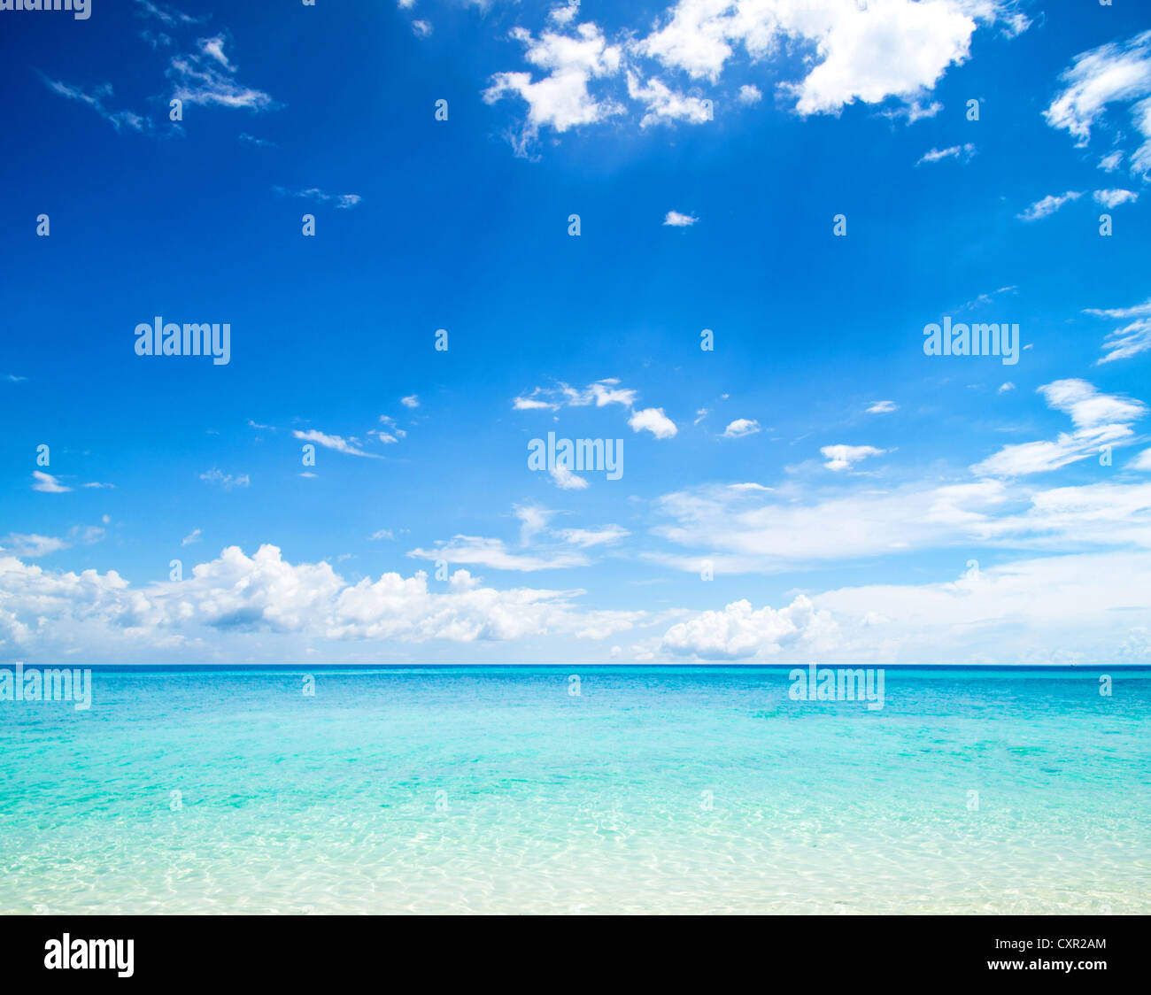 beautiful beach and tropical sea Stock Photo