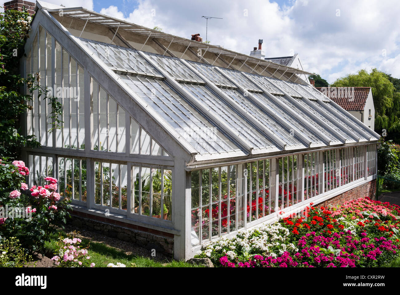 Large lean-to greenhouse for ornamental plants in Guernsey ...