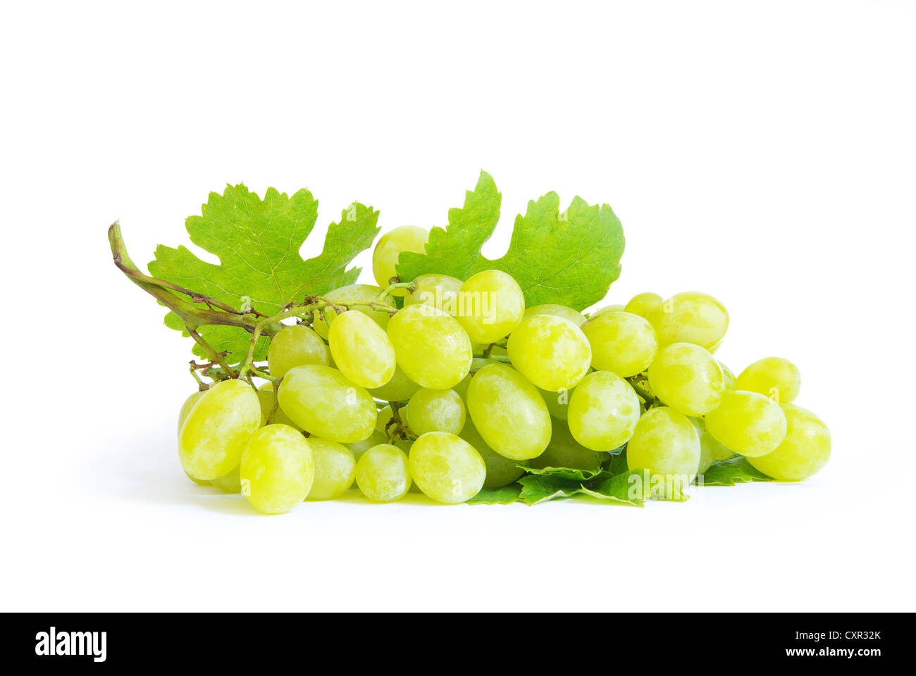 grape with green leaves isolated on white background Stock Photo