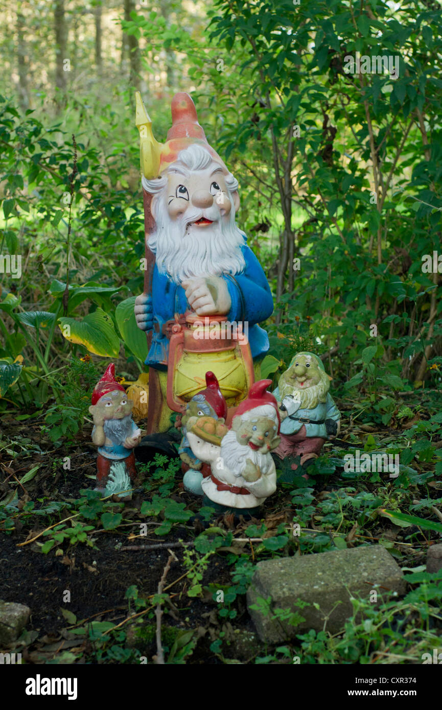 Garden gnomes in a Forest like garden Stock Photo Alamy