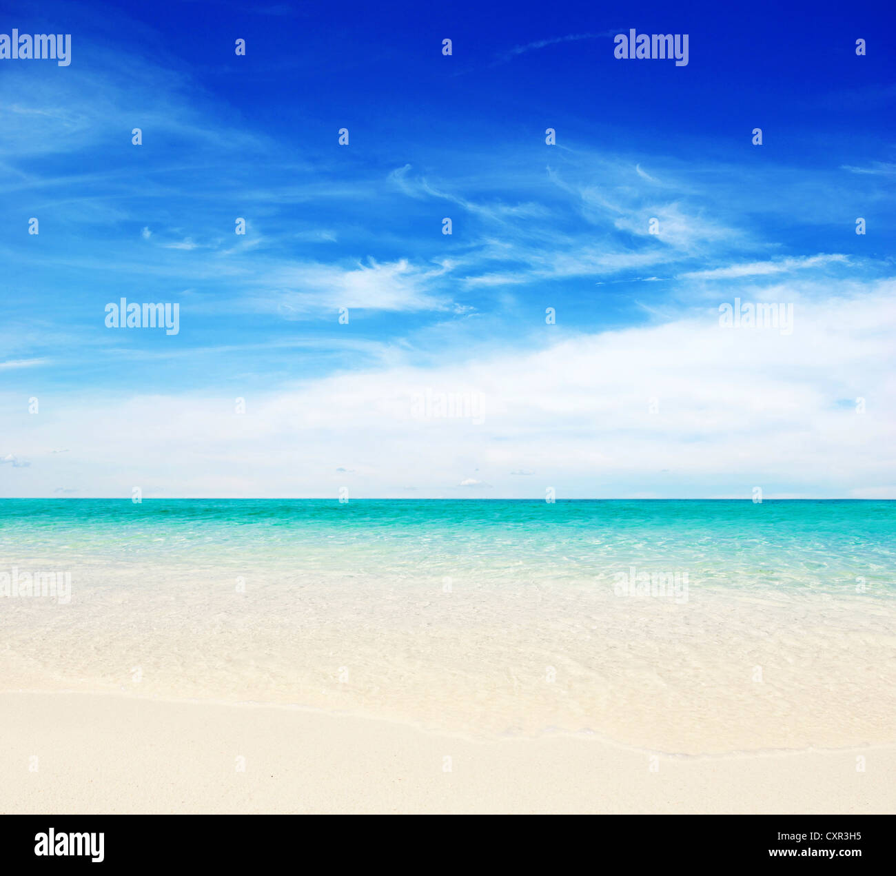 beautiful beach and tropical sea Stock Photo