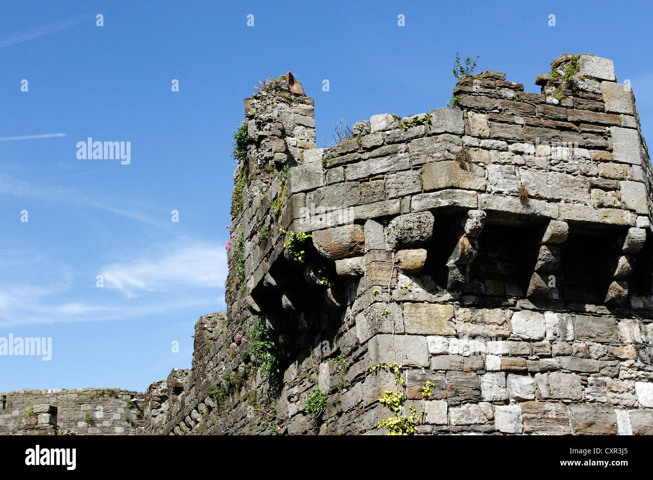 Medieval castle walls and battlements. Stock Photo