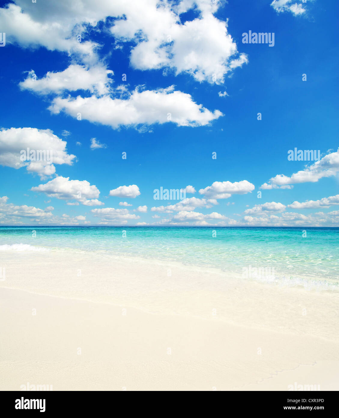 beautiful beach and tropical sea Stock Photo