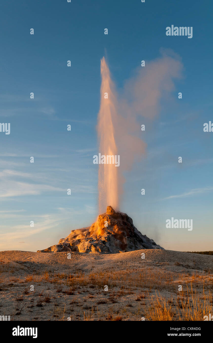 Fountain Paint Pot, mud pot, Lower Geyser Basin, Yellowstone National