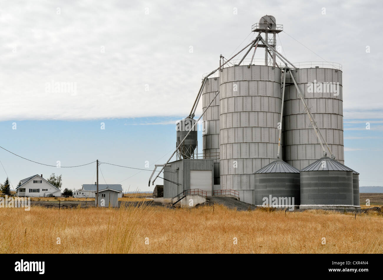 Grain silos, Anatone, Highway 129, Washington, USA Stock Photo