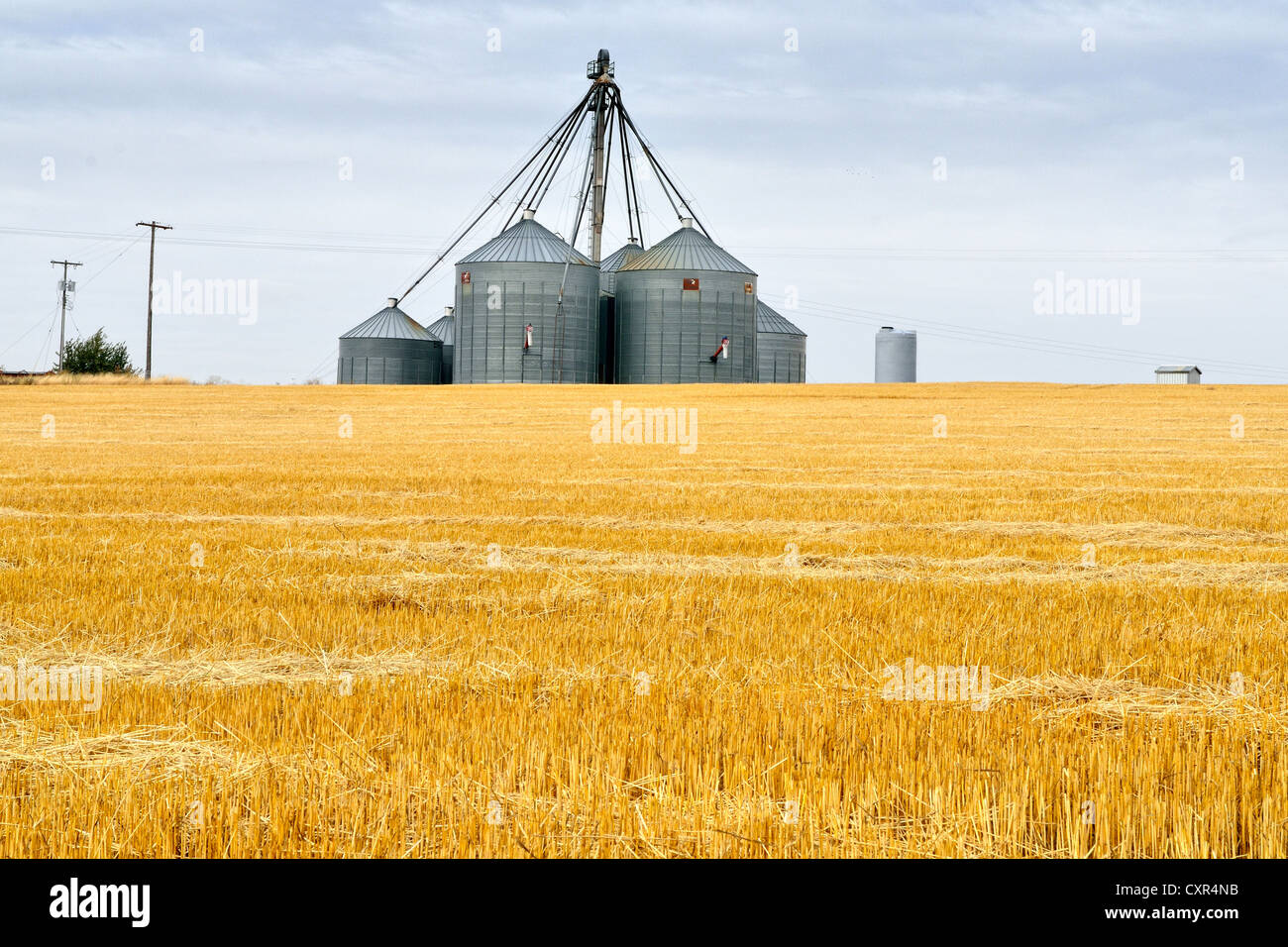 Grain silos and harvested field by combine harvesters near Moscow, Highway 95, Idaho, USA Stock Photo