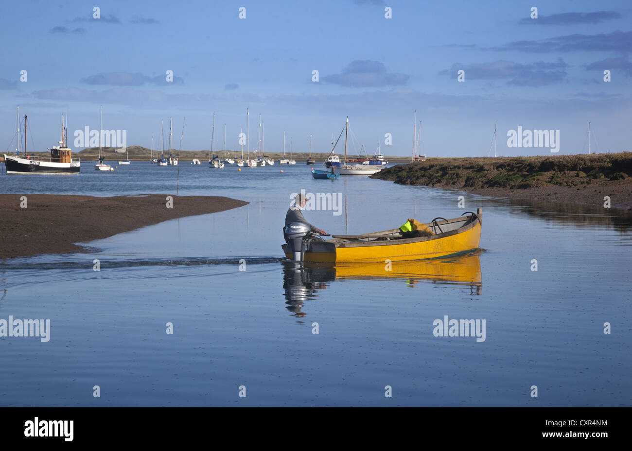 Harvesting Mussels at Brancaster Staithe Norfolk Stock Photo Alamy