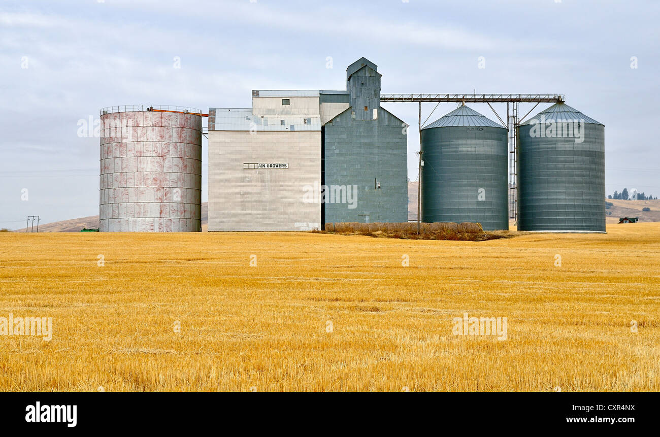 Grain silos near Moscow, Highway 95, Idaho, USA, PublicGround Stock Photo