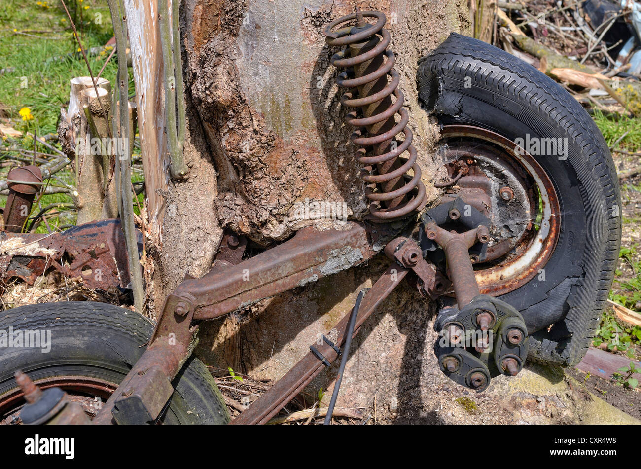 Nature and technology, car axle and wheels, partially overgrown by a willow tree trunk, Miesbach, Upper Bavaria, Bavaria Stock Photo