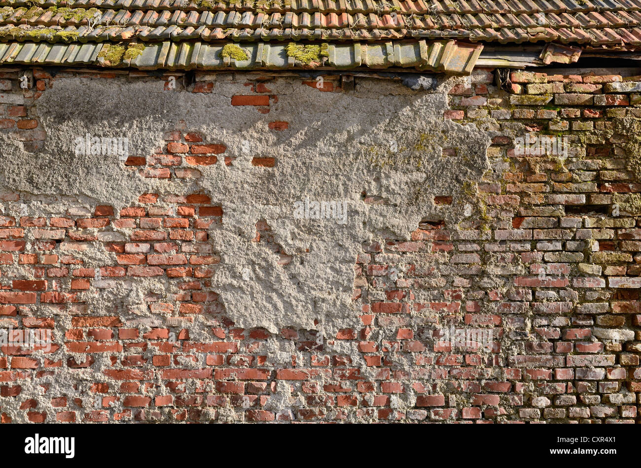 Brickwork of so-called Reichsformat or German format bricks with plaster peeling, Miesbach, Upper Bavaria, Bavaria Stock Photo