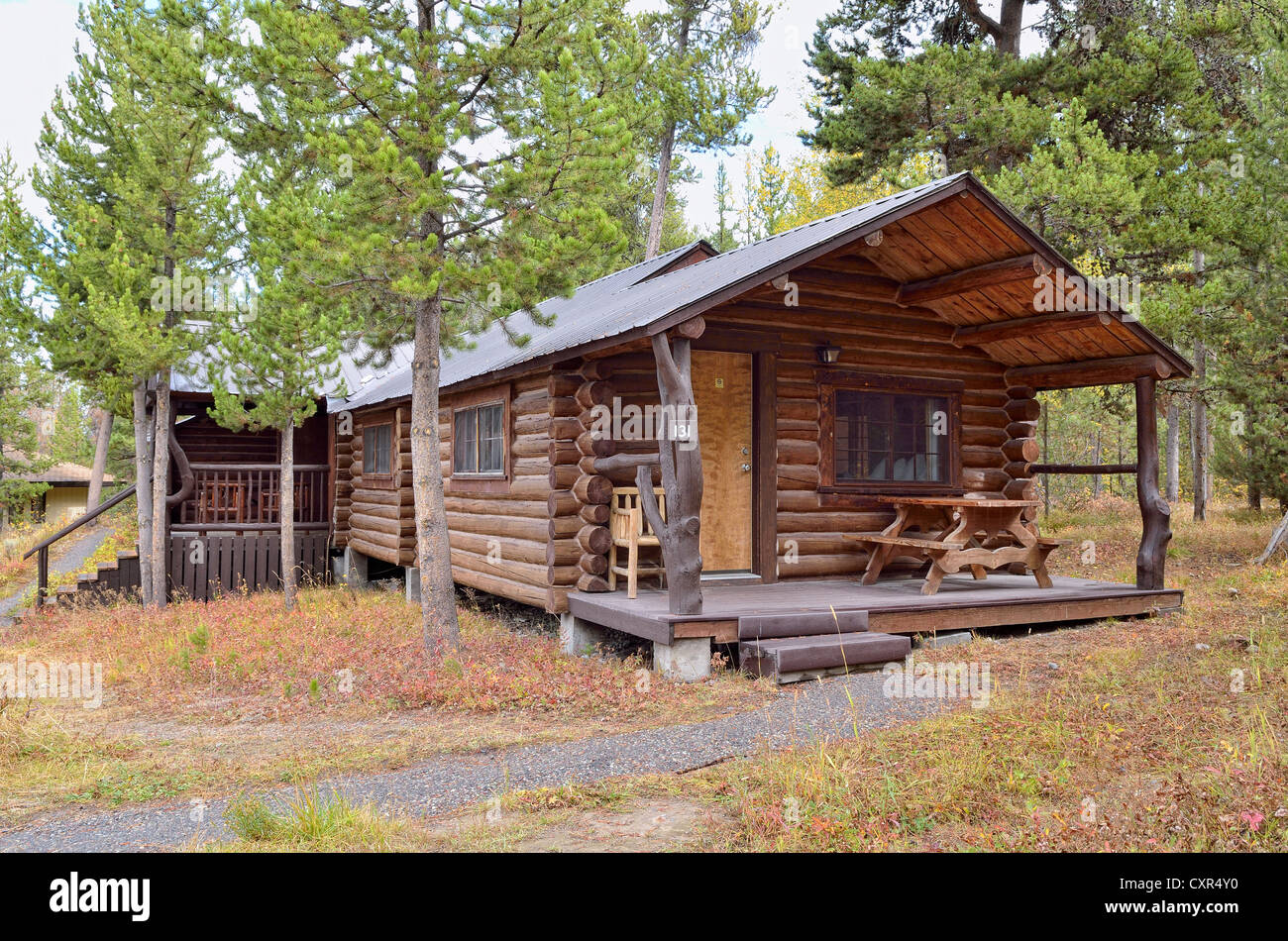 Accommodation hut, log cabin, cabin of the Signal Mountain Lodge, Grand Teton National Park, Wyoming, USA Stock Photo